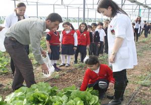 İlk ürünlerini aldılar